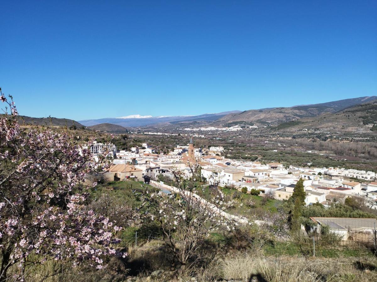 Los Olivos De Fondón Zewnętrze zdjęcie